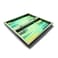 BiggDesign Nature Backgammon Set with Dice and Checkers   Magnetic Lock MDF Foldable Case with Anti-Scratch Floor, 2-Layer Varnish Glossy Finish Tavla Board Game