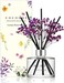 Cocod'or Preserved Real Flower Reed Diffuser/French Lavender / 6.7oz(200ml) / 1 Pack/Reed Diffuser Set, Oil Diffuser &amp; Reed Diffuser Sticks, Home Decor &amp; Office Decor, Fragrance and Gifts