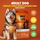 MyFood Adult Medium &amp; Large Breed Salmon, Derma Support, No Corn &amp; No Soy 12Kg