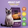MyFood Adult Cat Chicken Gourmet, Urinary Support, No Corn &amp; No Soy 1.5Kg