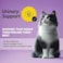MyFood Adult Cat Chicken Gourmet, Urinary Support, No Corn &amp; No Soy 1.5Kg