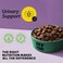MyFood Adult Cat Chicken Gourmet, Urinary Support, No Corn &amp; No Soy 1.5Kg