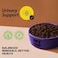 MyFood Adult Cat Salmon, Sterilized &amp; Urinary Support, No Corn &amp; No Soy 1.5Kg