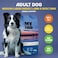 MyFood Adult Medium &amp; Large Breed Salmon, Derma Support, No Corn &amp; No Soy 2.5Kg