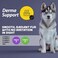 MyFood Adult Medium &amp; Large Breed Salmon, Derma Support, No Corn &amp; No Soy 2.5Kg