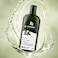 PAPAANA Organic Tea Tree Scalp Treatment Shampoo 400ml