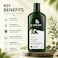 PAPAANA Organic Tea Tree Scalp Treatment Shampoo 400ml