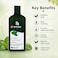 PAPAANA Organic Peppermint Scalp Refreshing Shampoo 400ml