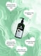 Papaana Organic Black Garlic Hair Growth Conditioner with Shea Butter 400ml Sulfate-Free