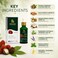 PAPAANA Organic Jamaican Black Castor Oil Strengthen &amp; Restore Hair Serum 50ml