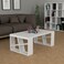 Mourah Home Honey Coffee Table - White - 2 Years Warranty