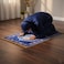 Premium Prayer Mat 70x110cm Printed Velvet Islamic Sajadah with Non-Slip Base &amp; Shiny Tassels, Lightweight &amp; Portable Musalla Gift for Ramadan Eid Hajj Umrah Blue/Multicolor