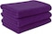 Fabienne 3-Pc Multipurpose Microfiber Towel Set Purple 50x90cm Gym Towel, Hand Towel, Hair Towel, Car Cleaning Towel, Kitchen Towel Soft and Durable