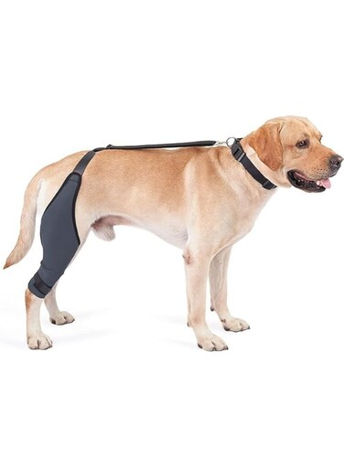 Adjustable Dog Knee Brace - Dog ACL Leg Brace for Support with Cruciate Ligament Injury, Joint Pain, and Muscle Soreness，Anti-Slip Canine Rear Leg Braces for Dogs (Black, XL-Left)