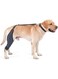 Adjustable Dog Knee Brace - Dog ACL Leg Brace for Support with Cruciate Ligament Injury, Joint Pain, and Muscle Soreness，Anti-Slip Canine Rear Leg Braces for Dogs (Black, XL-Left)