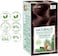 NEVA&nbsp;Naturalis Permanent Hair Color, Vegan,100% Gray Coverage, Organic, No Harmful Chemicals, Ammonia Free, Long-Lasting - HOT CHOCOLATE - 6.77