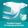 Pampers Rash Protection Taped Diapers, Size 2, 3-8kg, +50% Aloe Vera Lotion For Rash Protection, 3X Fortified Layers For Leakage Protection, Jumbo Box, 136 Count