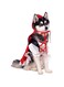 Rubie'S Red Riding Hood Pet Costume, Large
