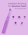 MySmile DY156 Electric Toothbrush for Adults, Rechargeable Sonic Battery Toothbrush Portable with 3 Brush Heads, 2 Mins 5 Modes Smart Timer, 45000VPM, One Charge for 60 Days - Purple
