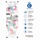 Brabantia XL Comfort Ironing Board Size C 124 x 45 cm with Steam Iron Rest, Adjustable Height, Foldable, Non-Slip Feet, Cotton Cover, Multicolor