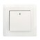 Terminator Wall Plate 1 Way With Single Switch