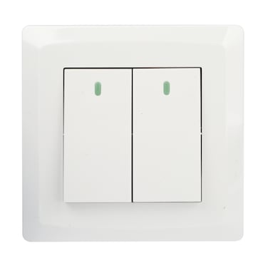 Terminator Wall Plate 1 Way With Two Switches