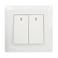 Terminator Wall Plate 1 Way With Two Switches