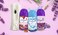 Elegant Automatic Spray REFILL &ndash; Showtime Angel &ndash; 300ML &ndash; Pack of 6, 6-Pack (300ML x 6 Pcs) &ndash; Air Freshener REFILL for Home And Bathroom, Made With ESSENTIAL OILS