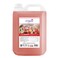 Elegant Hand Wash Liquid Refill - 5 Liter - Strawberry - Effective Germ Protection &ndash; Liquid Hand Wash provides Gentle And Effective Care &ndash; Fragrant And Soft