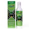 Elegant Natural Mosquito Repellant Spray &ndash; 100ML &ndash; Pack of 4 &ndash; Herbal &amp; Deet Free &ndash; Protection from Mosquitoes &amp; Other Biting Insects, Protect &amp; Shield Spray   New &amp; Improved Formula