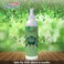 Elegant Natural Mosquito Repellant Spray &ndash; 250ML &ndash; Herbal &amp; Deet Free &ndash; Protection from Mosquitoes &amp; Other Biting Insects, Protect &amp; Shield Spray   New &amp; Improved Formula
