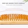 Cera Touch Bamboo HairBrush &ndash; Wooden Hair Brush for Women &amp; Men, Anti-Frizz Detangling &amp; Scalp Massage Hair Brush, Salon-Quality Cushion Wooden Hair Brush for Smooth &amp; Healthy Hair