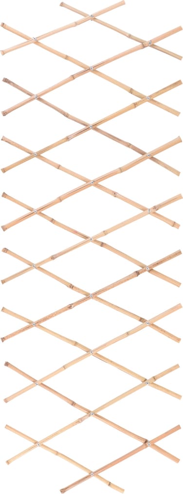 Bamboo Fence For Plants