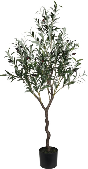 Olive Tree In Pot 120Cm
