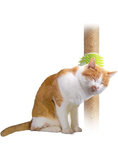 ALL FOR PAWS Lifestyle 2-in-1 Cat Groomer, 0.19 kg