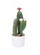 Artificial Cactus 25CM/10&rdquo; Small Fake Cactus Faux Cacti Potted Plants for Indoor Home Garden Office Decoration LC1558