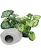 Smoothedo-Pets Aquarium Plants Betta Fish Tank Decorations 4inch/2pcs Soft Silk Artificial Plant Goldfish Waterscape Fish Hides Snake Tank/Reptiles Plants (B-3pcs Set)