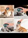 Cat Massager, Electric Pet Massager for Indoor Cats and Dogs with 4 Rotatable Massage Heads, Three Modes Cordless Head Massager with Red Light for Relieving Tight Muscles (White)