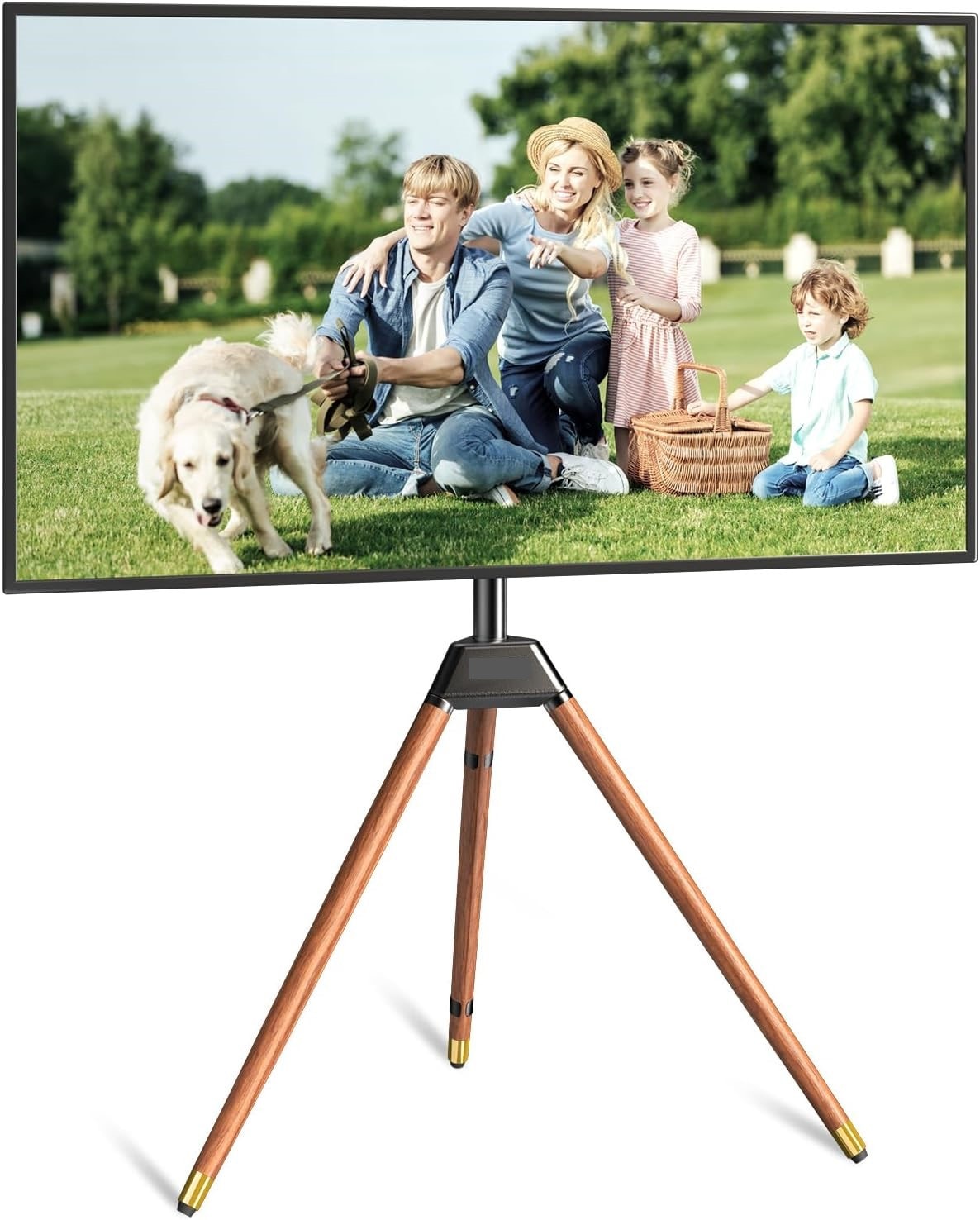 راديترونكس Radiotronics Easel Tv Stand Mount 32 inch