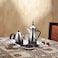 Stainless Steel Electric Arabic Coffee &amp; Tea Kettle Set Dual Pot Fast Heating