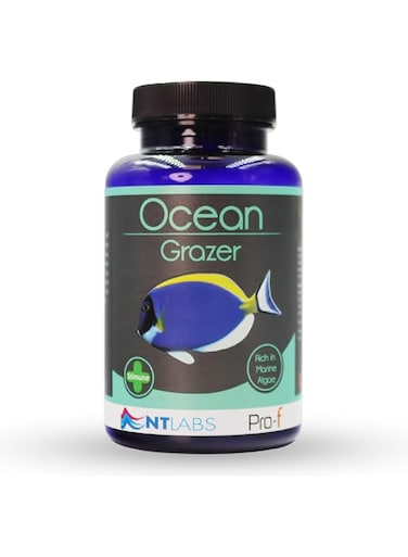 NT Labs Ocean Grazer Food for Fish - 110G