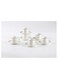 New Bone China Rosa Coffee Cup &amp; Saucer Set, 90ml (White, 6 Cups, 6 Saucer)