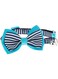 duvoplus Duvo Cat Collar Nylon Mixed Colors 20-30cm / 10mm