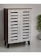 Galaxy  Design Wooden Shoe Cabinet with 2 Doors, 4-Tier Storage Shoe Organizer, Malaysian Design, Shoe Rack for Hallway and Living Room, Grey Brown