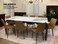 Galaxy Design Modern Marble 1+8 - Brown Dinning table with steel legs and Pvc Leather 8 chairs set and 1 table with marble top and leg stainless steel