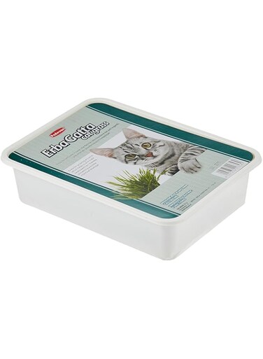 Padovan Erbagatta Cat Grass, Multi-Colour, 8001254003580, Padovan Erbagatto/Cat Grass, Grass For Growing At Home