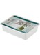Padovan Erbagatta Cat Grass, Multi-Colour, 8001254003580, Padovan Erbagatto/Cat Grass, Grass For Growing At Home