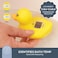 Dreambaby Room &amp; Bath Thermometer - BPA Free - Accurate Temperature Gauge (Duck)