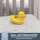 Dreambaby Room &amp; Bath Thermometer - BPA Free - Accurate Temperature Gauge (Duck)
