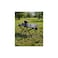 Denver Portable Camping Table &ndash; Foldable, Lightweight, Durable, 30 Kg Capacity